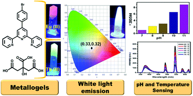 Graphical abstract: A mixed ligand approach towards lanthanide-based gels using citric acid as assembler ligand: white light emission and environmental sensing