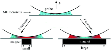 Graphical abstract: Magnetically stimulating capillary effect for reversible wet adhesions