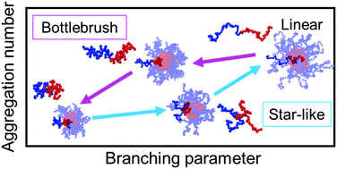 Graphical abstract: Molecular dynamics simulation study of linear, bottlebrush, and star-like amphiphilic block polymer assembly in solution
