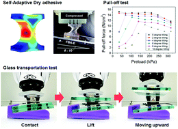 Graphical abstract: Highly flexible and self-adaptive dry adhesive end-effectors for precision robotics