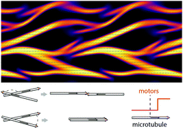 Graphical abstract: Dry active turbulence in a model for microtubule–motor mixtures