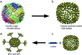 Graphical abstract: Crystallizing protein assemblies via free and grafted linkers