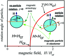 Graphical abstract: The loss of mechanical stability and the critical magnetization of a ferromagnetic particle in an elastomer
