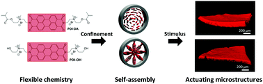 Graphical abstract: Molecularly-ordered hydrogels with controllable, anisotropic stimulus response