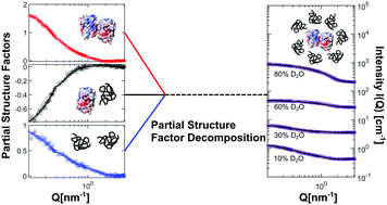 Graphical abstract: SANS partial structure factor analysis for determining protein–polymer interactions in semidilute solution