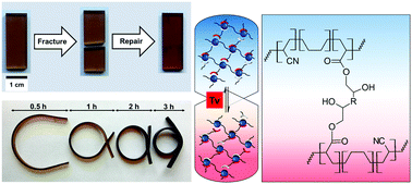 Graphical abstract: Stress relaxation and thermally adaptable properties in vitrimer-like elastomers from HXNBR rubber with covalent bonds