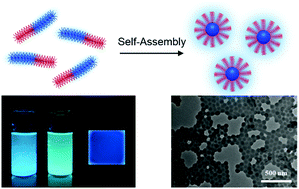 Graphical abstract: Self-assembly of giant bottlebrush block copolymer surfactants from luminescent organic electronic materials