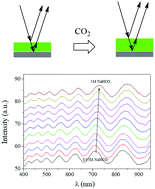 Graphical abstract: A CO2-responsive hydrogel film for optical sensing of dissolved CO2