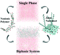 Graphical abstract: Interactions between amphiphilic Janus nanosheets and a nonionic polymer in aqueous and biphasic systems