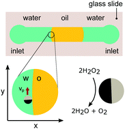 Graphical abstract: Guidance of active particles at liquid–liquid interfaces near surfaces