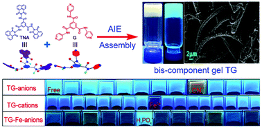 Graphical abstract: A novel bis-component AIE smart gel with high selectivity and sensitivity to detect CN−, Fe3+ and H2PO4−