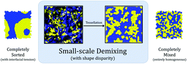 Graphical abstract: Small-scale demixing in confluent biological tissues