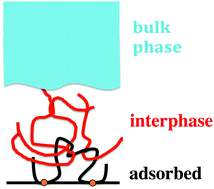 Graphical abstract: Polymer dynamics under confinement