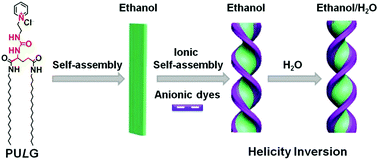 Graphical abstract: Water inversed helicity of nanostructures from ionic self-assembly of a chiral gelator and an achiral component