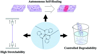 Graphical abstract: Imine and metal–ligand dynamic bonds in soft polymers for autonomous self-healing capacitive-based pressure sensors