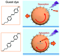 Graphical abstract: Optical motion control of liquid crystalline droplets by host–guest molecular interaction