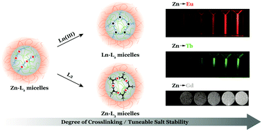 Graphical abstract: Supramolecular crosslinks enable PIC micelles with tuneable salt stability and diverse properties