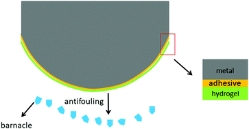Graphical abstract: Strong adhesion of poly(vinyl alcohol)–glycerol hydrogels onto metal substrates for marine antifouling applications