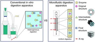 Graphical abstract: Comparison of bulk and microfluidic methods to monitor the phase behaviour of nanoparticles during digestion of lipid-based drug formulations using in situ X-ray scattering