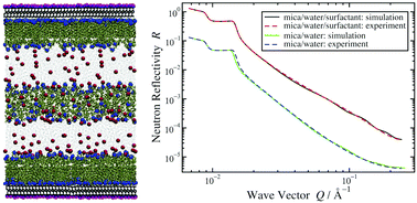 Graphical abstract: Self-assembly and adsorption of cetyltrimethylammonium bromide and didodecyldimethylammonium bromide surfactants at the mica–water interface