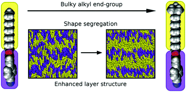 Graphical abstract: Shape segregation in molecular organisation: a combined X-ray scattering and molecular dynamics study of smectic liquid crystals