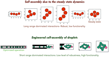 Graphical abstract: On the role of hydrodynamic interactions in the engineered-assembly of droplet ensembles