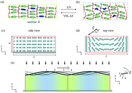 Graphical abstract: Travelling waves on photo-switchable patterned liquid crystal polymer films directed by rotating polarized light