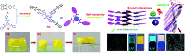 Graphical abstract: A bi-component supramolecular gel for selective fluorescence detection and removal of Hg2+ in water