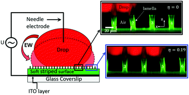 Graphical abstract: Behaviour of flexible superhydrophobic striped surfaces during (electro-)wetting of a sessile drop