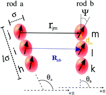 Graphical abstract: Steady states of non-axial dipolar rods driven by rotating fields