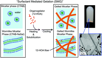 Graphical abstract: Hydrogelation with a water-insoluble organogelator – surfactant mediated gelation (SMG)
