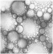 Graphical abstract: Apollonian packing in polydisperse emulsions
