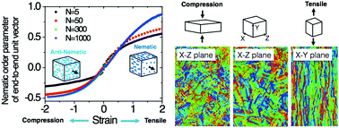 Graphical abstract: Compression-induced anti-nematic order in glassy and semicrystalline polymers