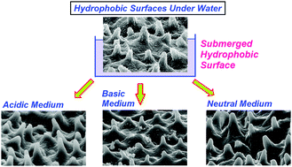 Graphical abstract: Durability of submerged hydrophobic surfaces