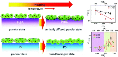 Graphical abstract: Thermal stability and dynamics of soft nanoparticle membranes: role of entropy, enthalpy and membrane compressibility