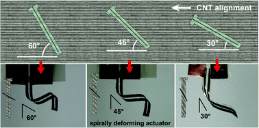 Graphical abstract: Spirally deformable soft actuators and their designable helical actuations based on a highly oriented carbon nanotube film