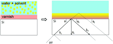 Graphical abstract: Swelling, dewetting and breakup in thin polymer films for cultural heritage