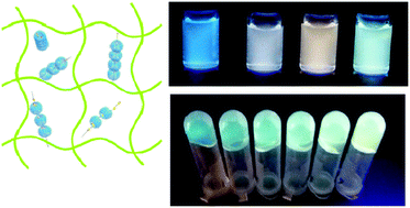 Graphical abstract: Multicolor luminescent supramolecular hydrogels based on cucurbit[8]uril and OPV derivative