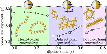 Graphical abstract: Self-assembly of magnetic colloids with radially shifted dipoles