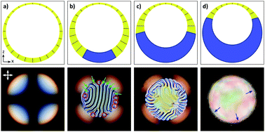 Graphical abstract: Topological solitons, cholesteric fingers and singular defect lines in Janus liquid crystal shells