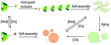 Graphical abstract: Fabrication of a β-cyclodextrin-based self-assembly containing a redox-responsive ferrocene
