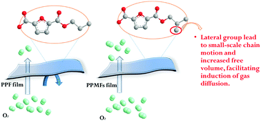 Graphical abstract: Influence of asymmetric substituent group 2-methyl-1,3-propanediol on bio-based poly(propylene furandicarboxylate) copolyesters