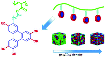 Graphical abstract: Effect of grafting density on the self-assembly of side-chain discotic liquid crystalline polymers with triphenylene discogens