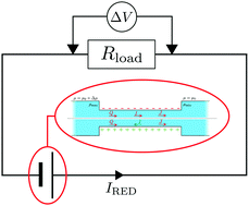 Graphical abstract: Coupled water, charge and salt transport in heterogeneous nano-fluidic systems