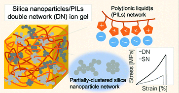 Graphical abstract: Preparation of tough, thermally stable, and water-resistant double-network ion gels consisting of silica nanoparticles/poly(ionic liquid)s through photopolymerisation of an ionic monomer and subsequent solvent removal