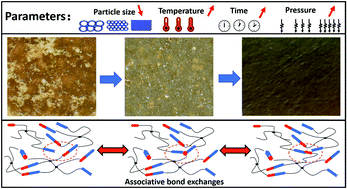 Graphical abstract: Influence of treating parameters on thermomechanical properties of recycled epoxy-acid vitrimers