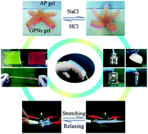Graphical abstract: A self-healing, robust adhesion, multiple stimuli-response hydrogel for flexible sensors