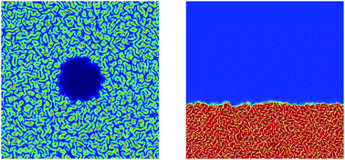 Graphical abstract: Propagation of active nematic–isotropic interfaces on substrates