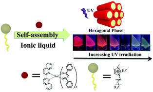 Graphical abstract: A luminescent lyotropic liquid crystal with UV irradiation induced photochromism