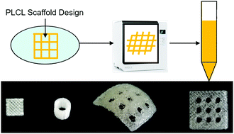 Graphical abstract: 3D printing of implantable elastic PLCL copolymer scaffolds